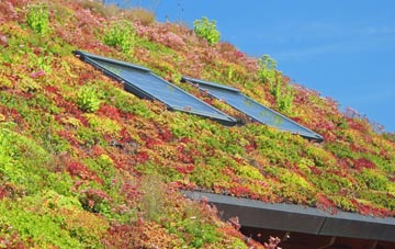 Muirshearlich living roof systems