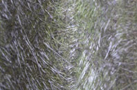 Muirshearlich fibreglass roof work